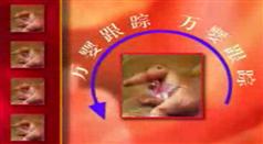 20150319100151577.jpg