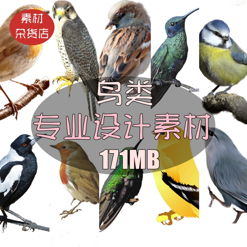 高清免抠图 多种鸟类飞鸟动物png格式图片参考ps设计图案...