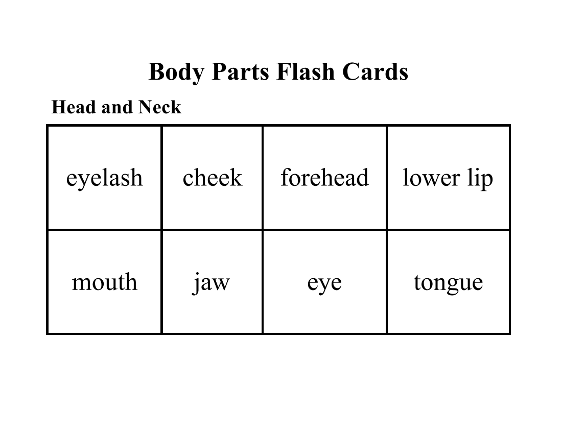 BodyPartFlashCardsBodyPartFlashCards_1.png