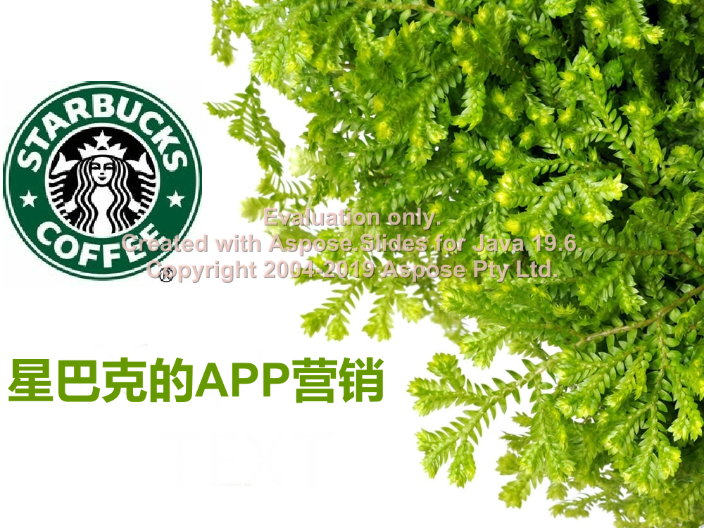 wxrso4cj8dcsj8mswxrso4cj8dcsj8ms_1.png