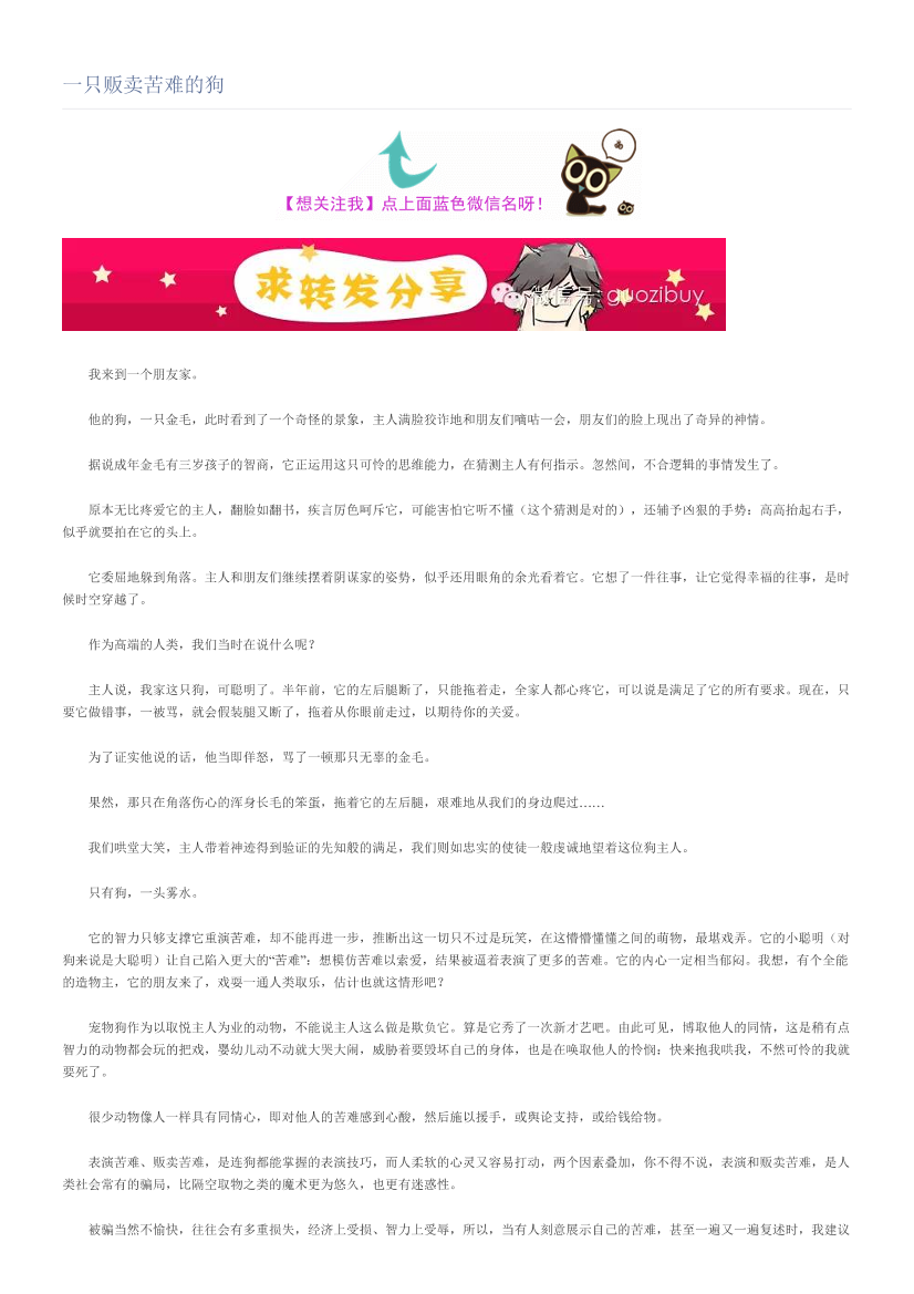 一只贩卖苦难的狗一只贩卖苦难的狗_1.png