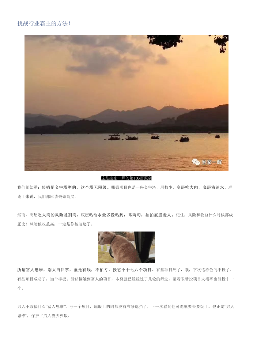 挑战行业霸主的方法！挑战行业霸主的方法！_1.png
