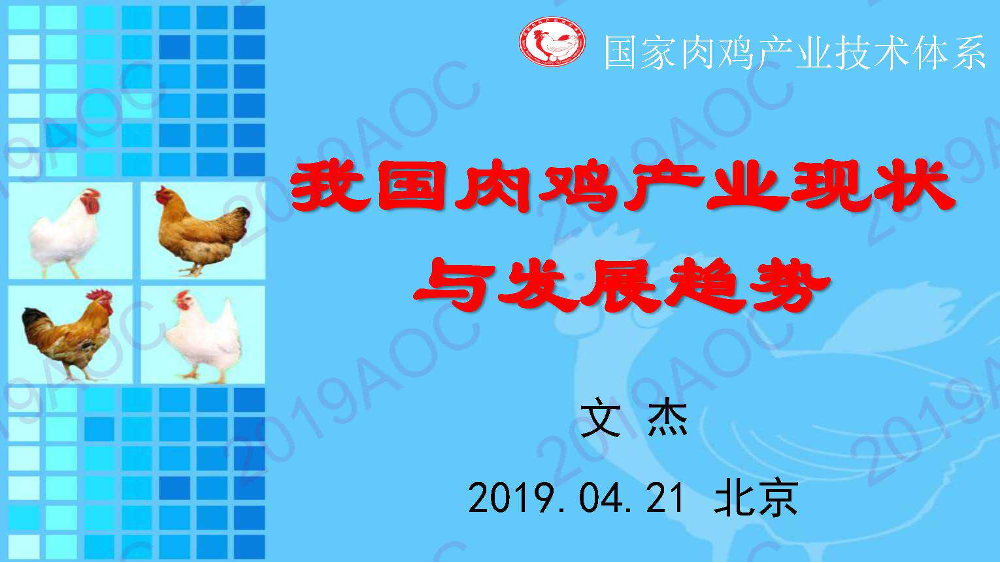 2019中国农业展望大会：我国肉鸡产业现状与发展趋势_文杰，中国农业科学院北京畜牧兽医研究所副所长、国家肉鸡产业体系首席科学家-2019.4-24页2019中国农业展望大会：我国肉鸡产业现状与发展趋势_文杰，中国农业科学院北京畜牧兽医研究所副所长、国家肉鸡产业体系首席科学家-2019.4-24页_1.png