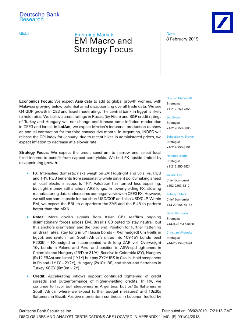德银-新兴市场-宏观策略-新兴市场宏观与策略聚焦-2019.2.8-54页德银-新兴市场-宏观策略-新兴市场宏观与策略聚焦-2019.2.8-54页_1.png