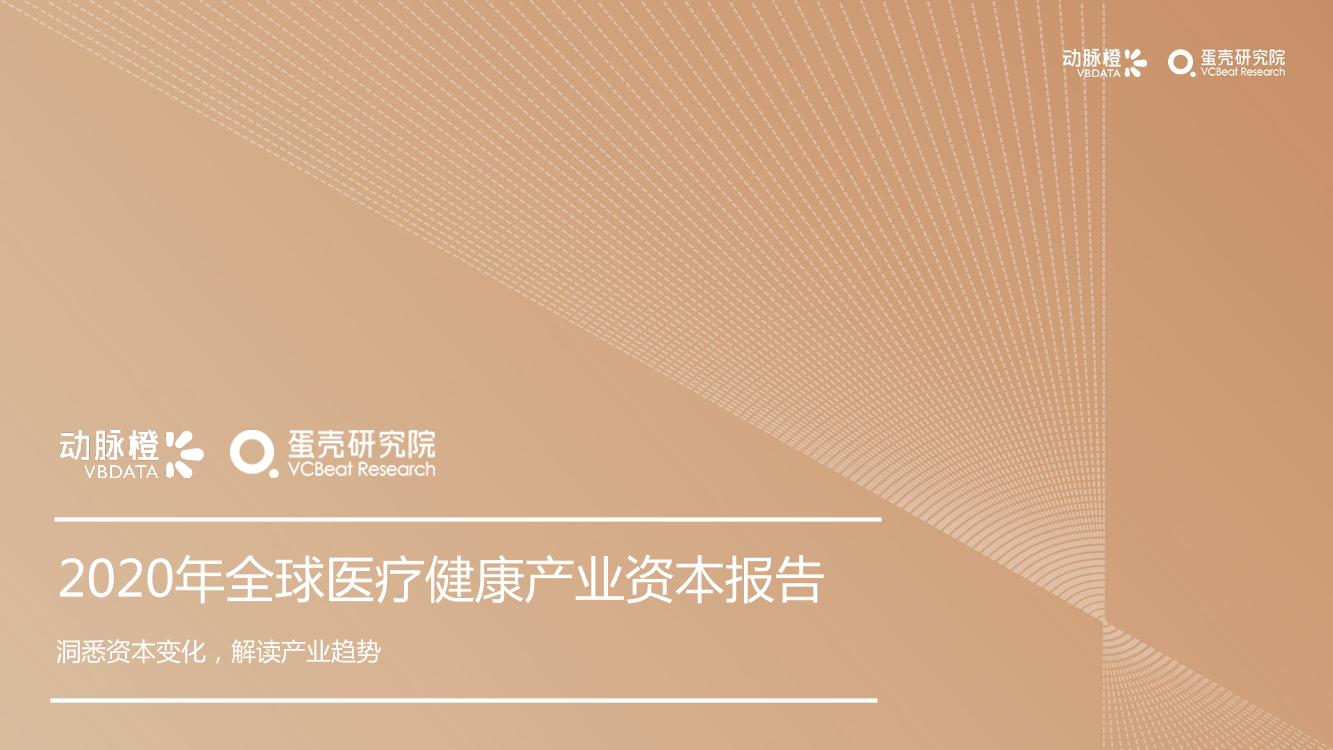 2020年全球医疗健康产业资本报告-动脉橙&蛋壳研究院-2021.1-43页2020年全球医疗健康产业资本报告-动脉橙&蛋壳研究院-2021.1-43页_1.png