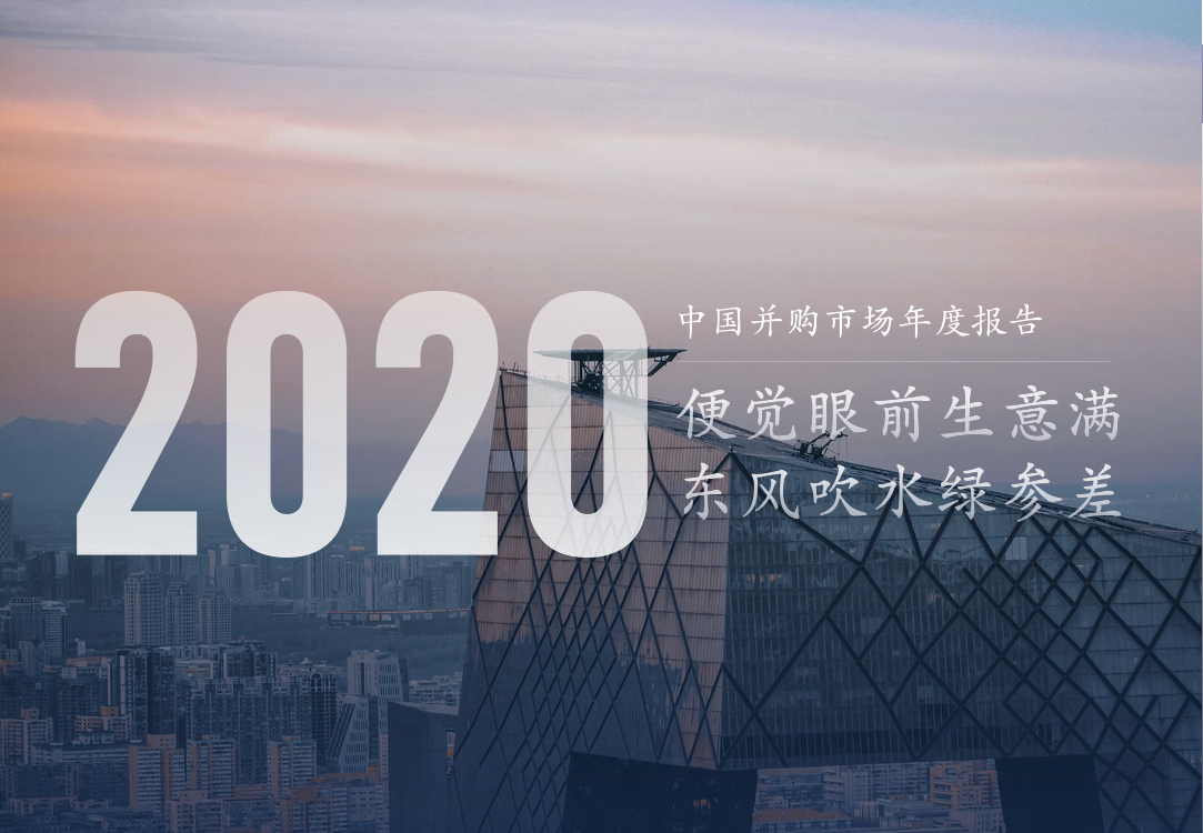 2020年度并购报告-汉能投资-2021.1-43页2020年度并购报告-汉能投资-2021.1-43页_1.png