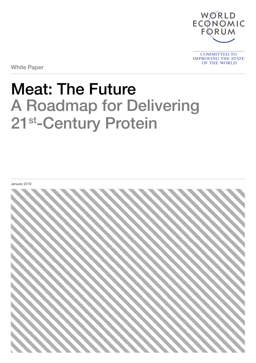 世界经济论坛-肉类：未来——提供21世纪蛋白质的路线图（英文）-2019.6-16页世界经济论坛-肉类：未来——提供21世纪蛋白质的路线图（英文）-2019.6-16页_1.png