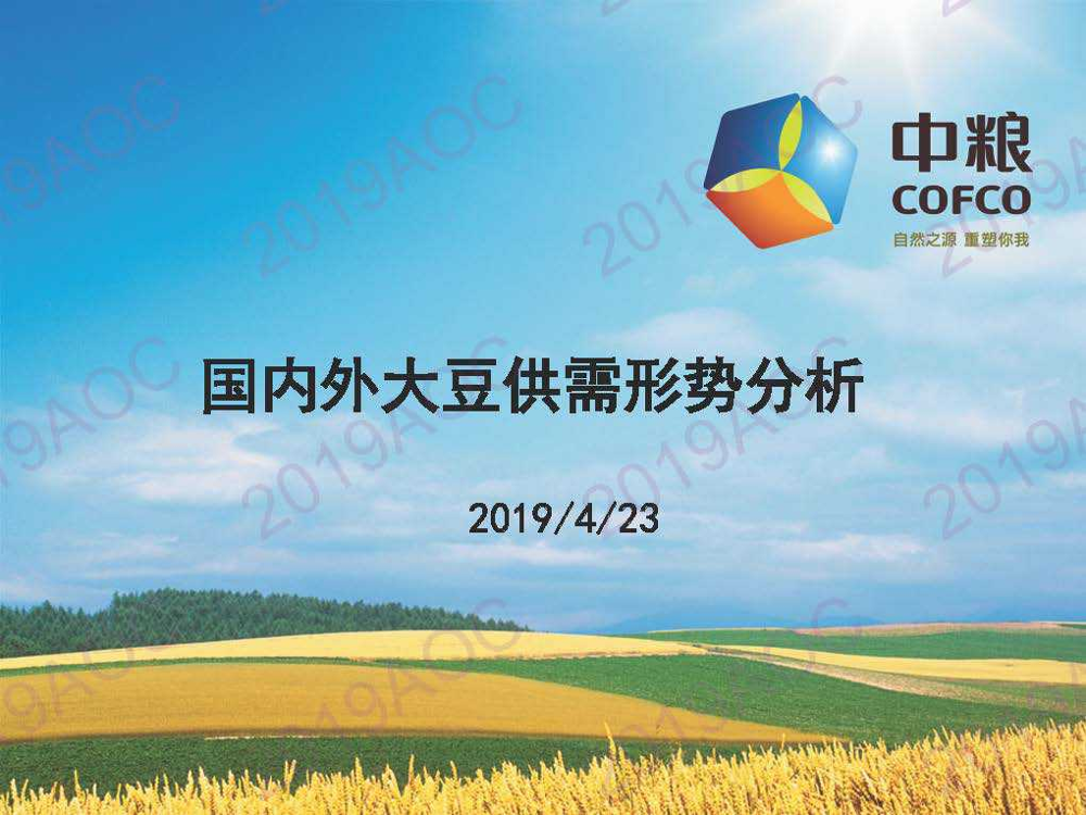 2019中国农业展望大会：大豆展望1_国内外大豆供需形势分析_陈刚-2019.4-32页2019中国农业展望大会：大豆展望1_国内外大豆供需形势分析_陈刚-2019.4-32页_1.png