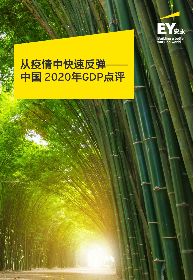安永-从数据点评2021中国经济复苏之路-2021.2-26页安永-从数据点评2021中国经济复苏之路-2021.2-26页_1.png