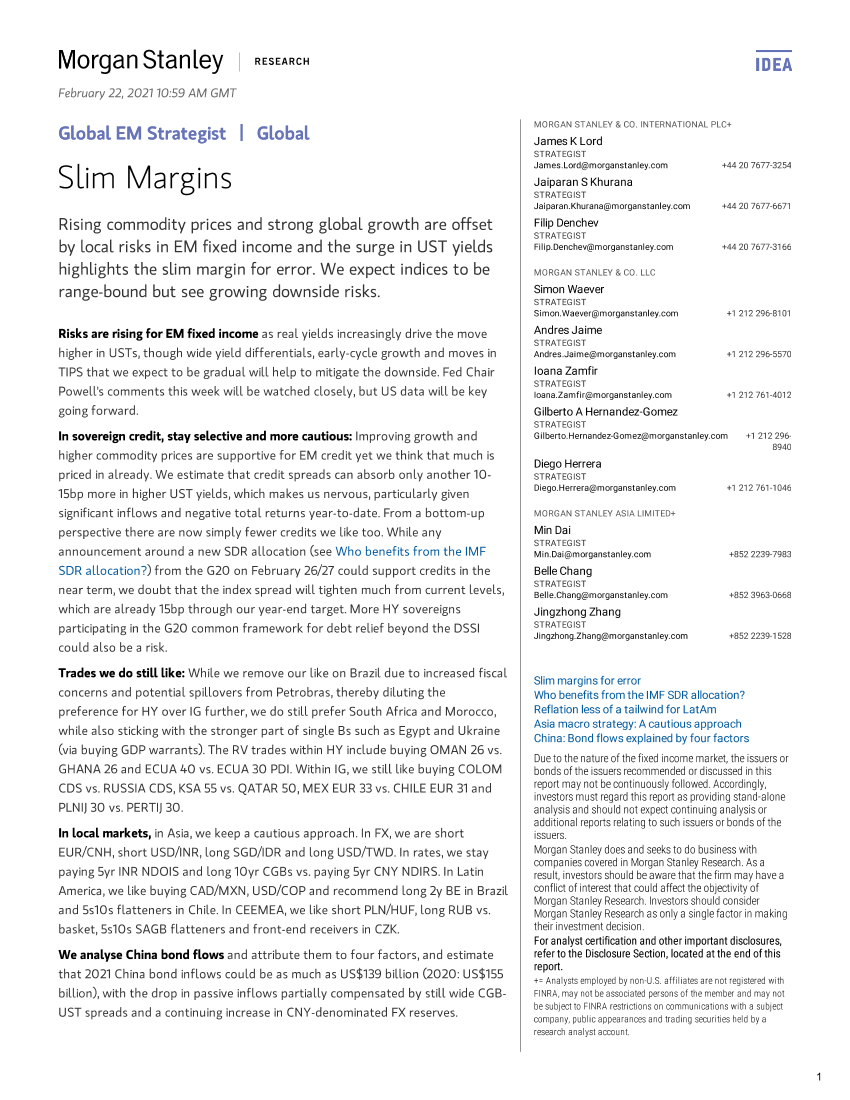 摩根士丹利-新兴市场投资策略：利润微薄-2021.2.22-48页摩根士丹利-新兴市场投资策略：利润微薄-2021.2.22-48页_1.png