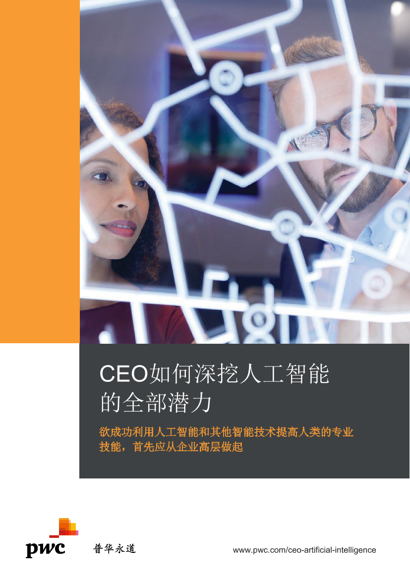 普华永道-CEO如何深挖人工智能的全部潜力-2019.7-16页普华永道-CEO如何深挖人工智能的全部潜力-2019.7-16页_1.png