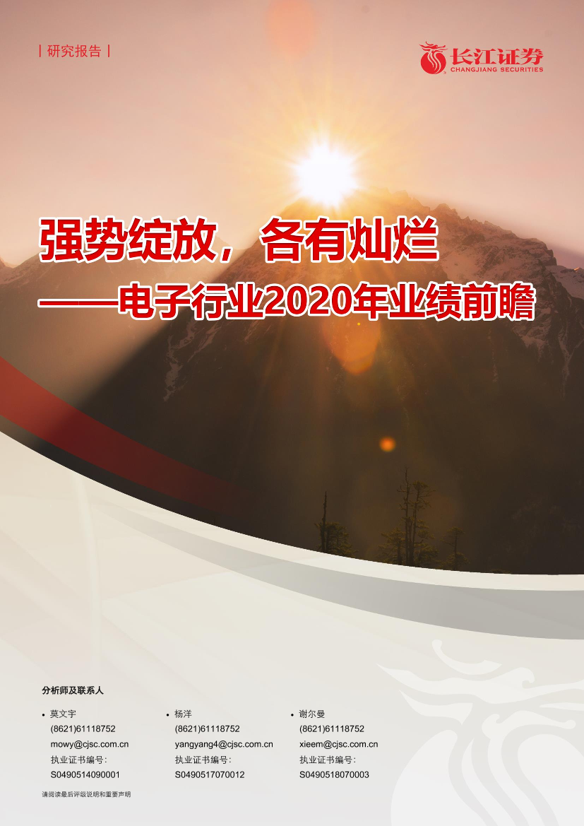 电子行业2020年业绩前瞻：强势绽放，各有灿烂-20210302-长江证券-22页电子行业2020年业绩前瞻：强势绽放，各有灿烂-20210302-长江证券-22页_1.png