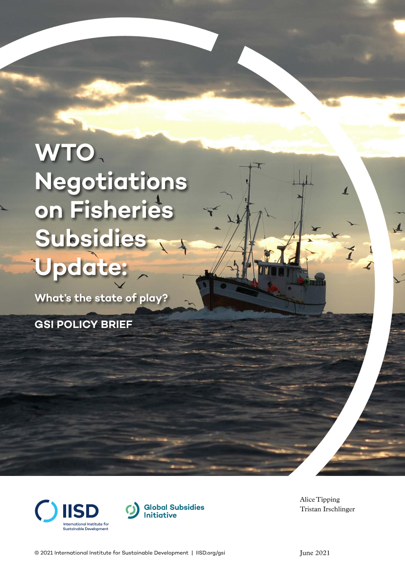 国际可持续发展研究所-世贸组织渔业补贴谈判最新进展：进展如何？（英文）-2021.6-24页国际可持续发展研究所-世贸组织渔业补贴谈判最新进展：进展如何？（英文）-2021.6-24页_1.png