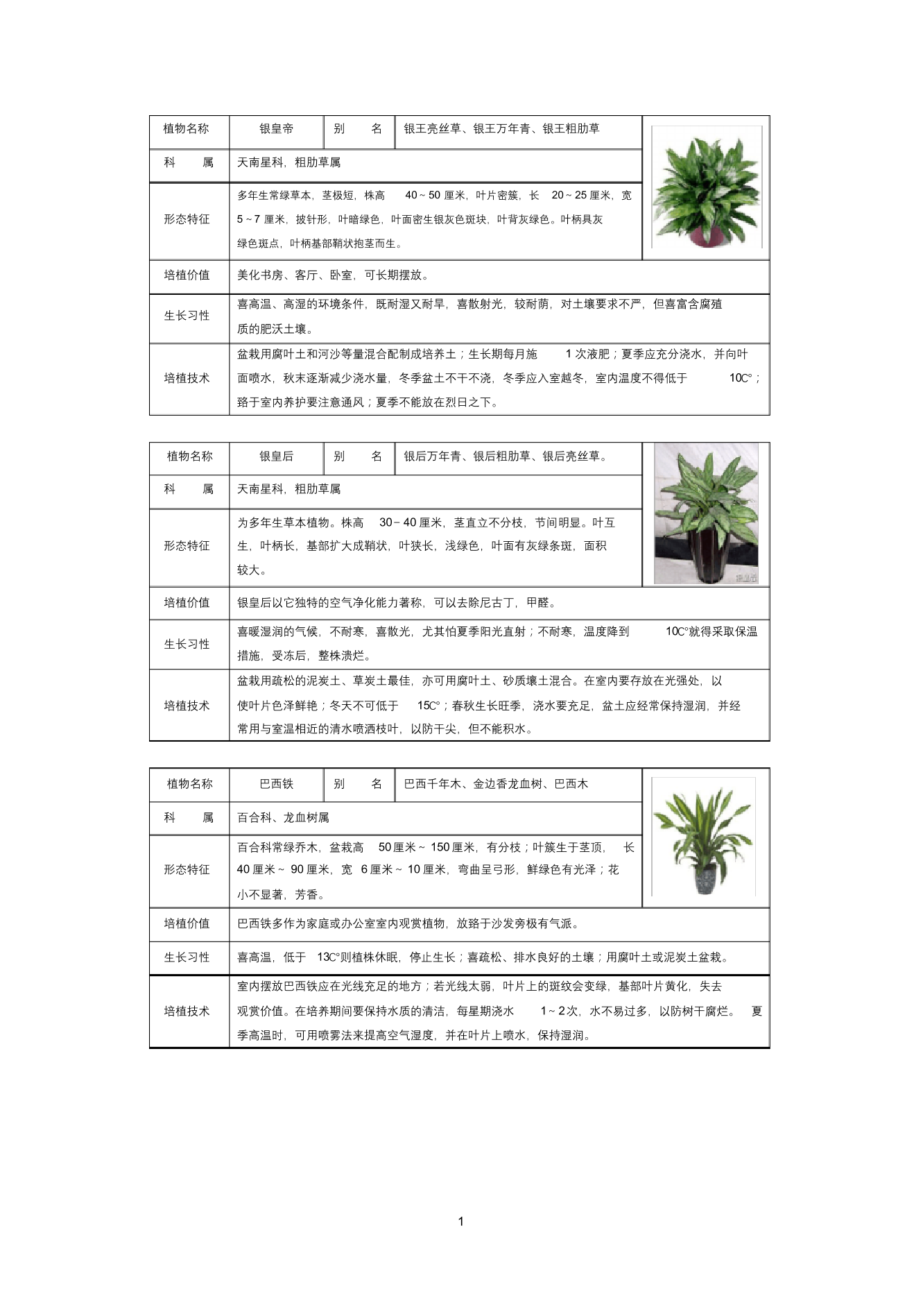 常见室内盆栽绿化植物介绍(带图片)-免费常见室内盆栽绿化植物介绍(带图片)-免费_1.png