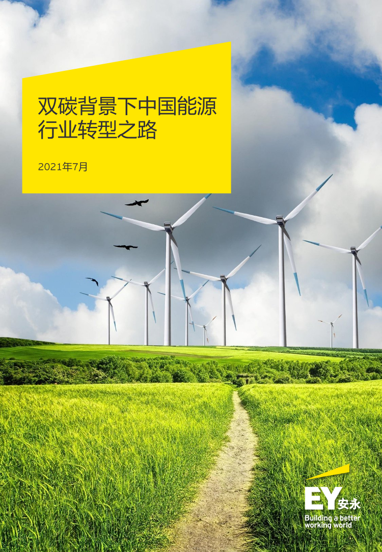 双碳背景下中国能源行业转型之路-安永-2021.7-55页双碳背景下中国能源行业转型之路-安永-2021.7-55页_1.png