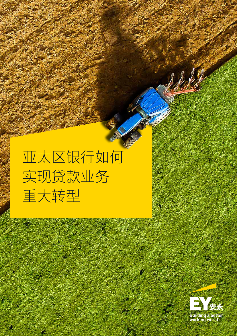 亚太区银行如何实现贷款业务重大转型-12页亚太区银行如何实现贷款业务重大转型-12页_1.png