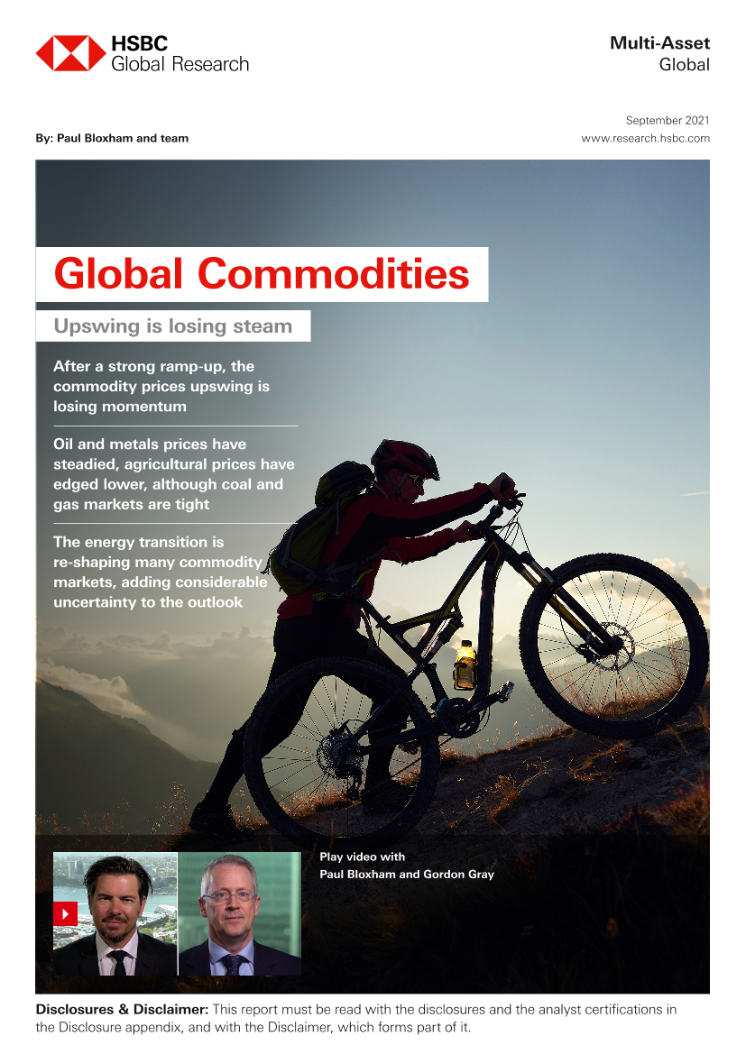 HSBC-全球投资策略-全球商品：经济增长正在失去动力-2021.9-74页HSBC-全球投资策略-全球商品：经济增长正在失去动力-2021.9-74页_1.png