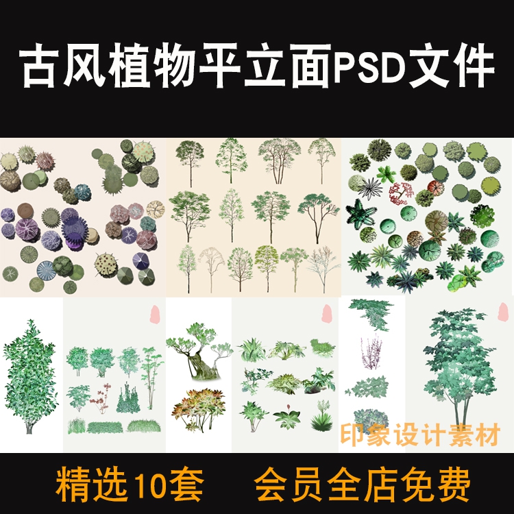 新中式中国古风古典植物彩色平立面图PSD分层源文件设计...
