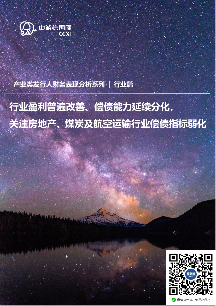 中诚信-2021年半年度财务表现分析（行业篇）-20页中诚信-2021年半年度财务表现分析（行业篇）-20页_1.png