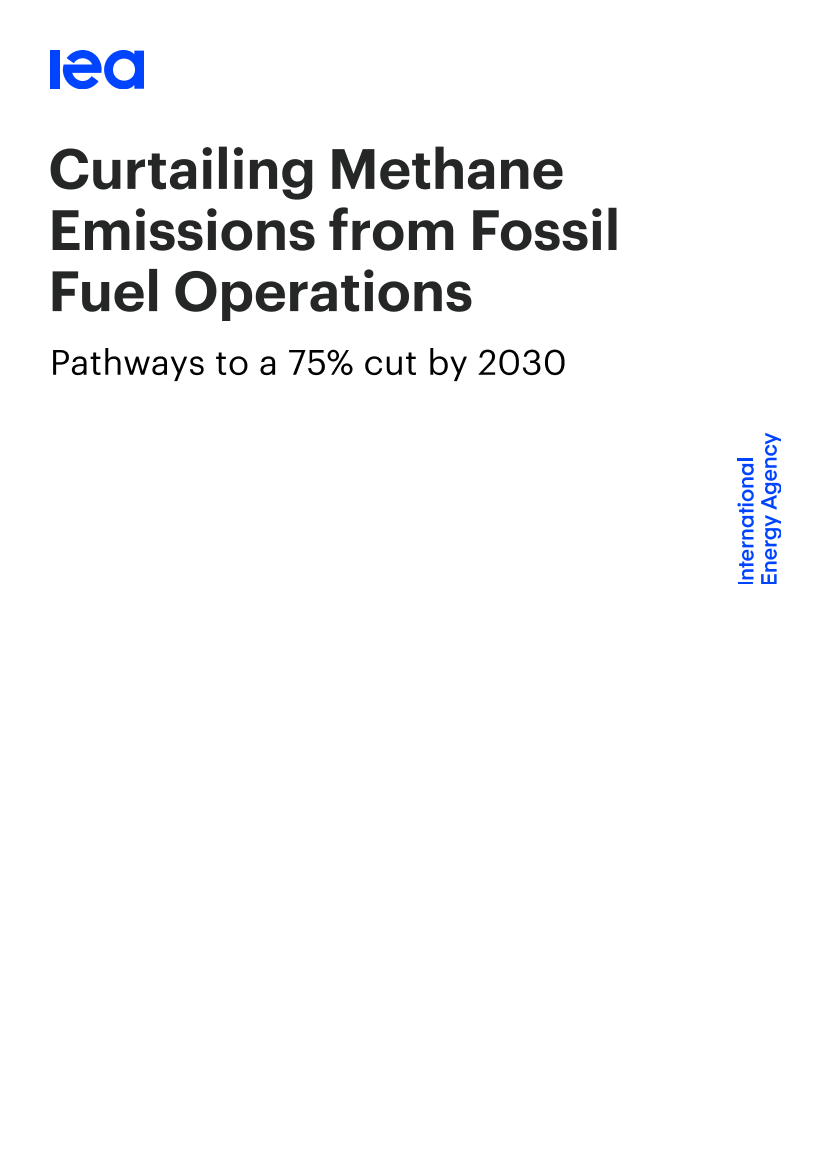 国际能源署-减少化石燃料作业产生的甲烷排放（英）-2021.10-56页国际能源署-减少化石燃料作业产生的甲烷排放（英）-2021.10-56页_1.png