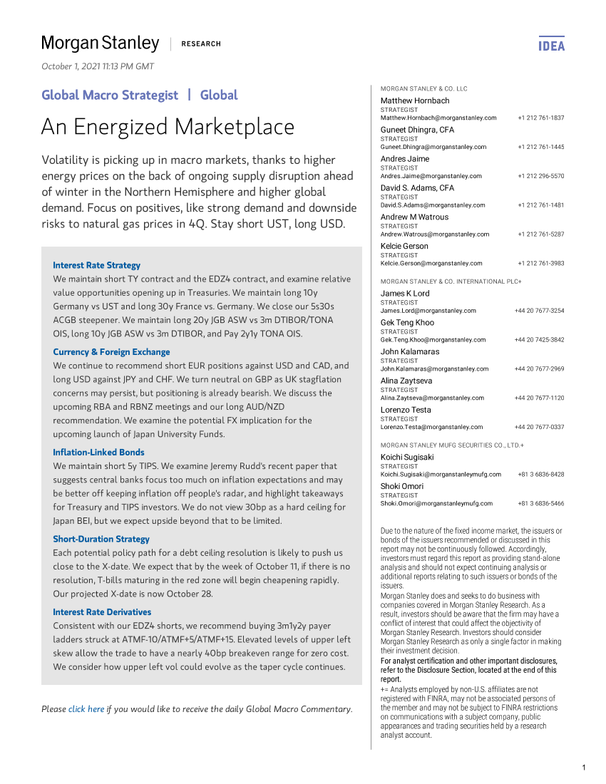 摩根士丹利-全球宏观策略-一个充满活力的市场-2021.10.1-96页摩根士丹利-全球宏观策略-一个充满活力的市场-2021.10.1-96页_1.png
