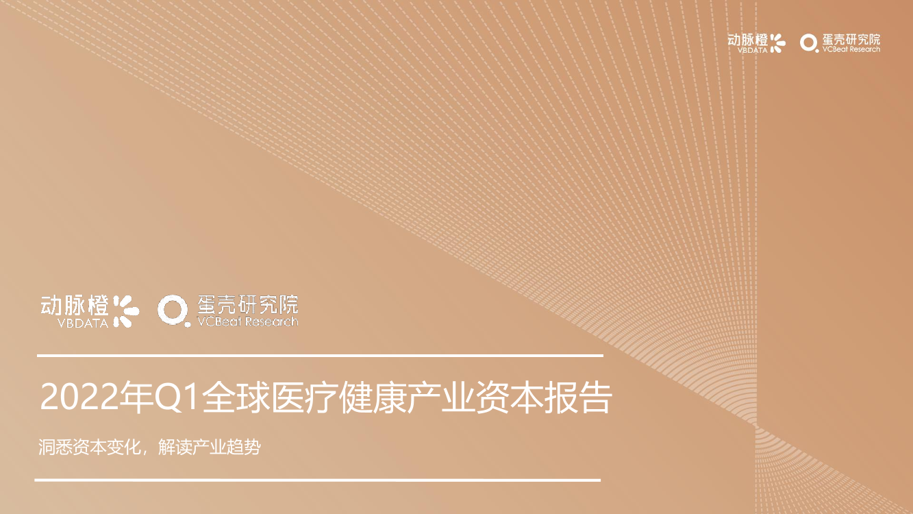 动脉网蛋壳研究院-2022年Q1全球医疗健康产业资本报告-30页动脉网蛋壳研究院-2022年Q1全球医疗健康产业资本报告-30页_1.png