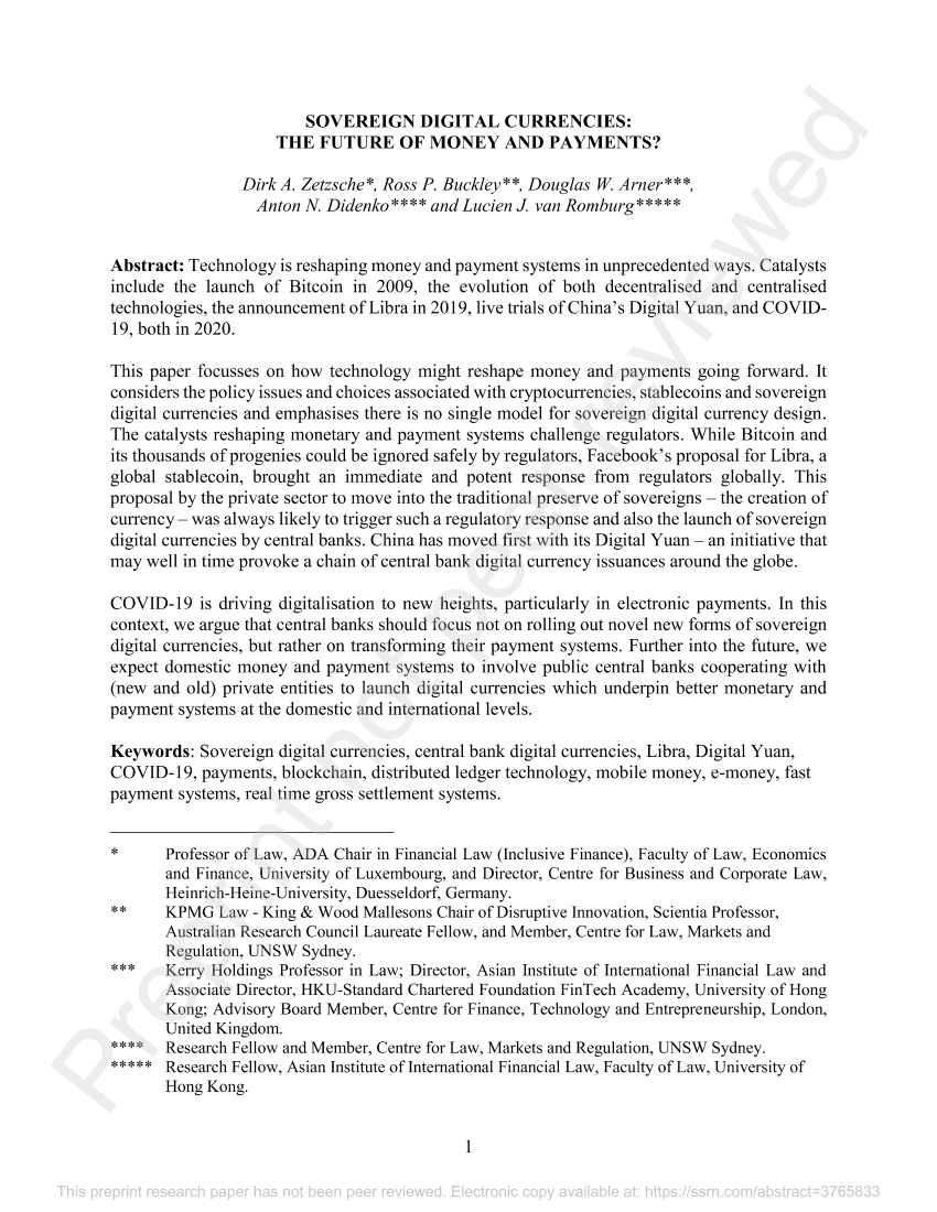 主权货币——货币与支付系统的未来（英）-22页主权货币——货币与支付系统的未来（英）-22页_1.png