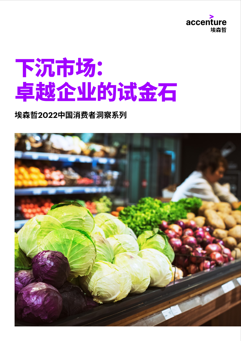 2022中国下沉市场消费者洞察-27页2022中国下沉市场消费者洞察-27页_1.png