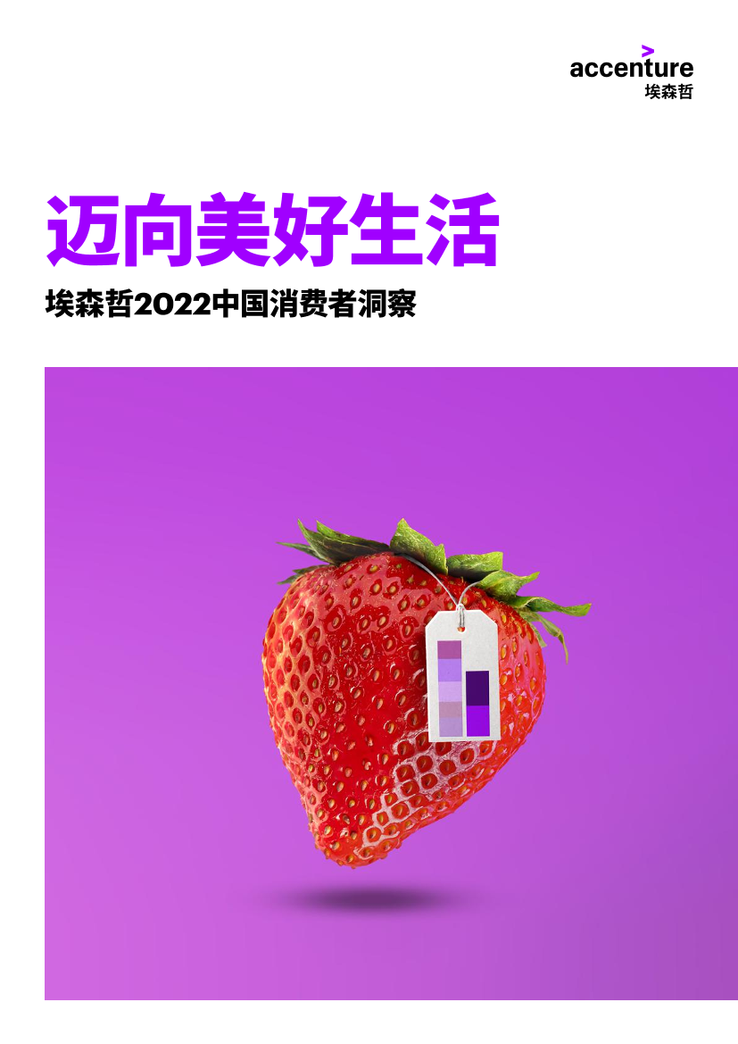 埃森哲2022中国消费者洞察主报告（中）-45页埃森哲2022中国消费者洞察主报告（中）-45页_1.png