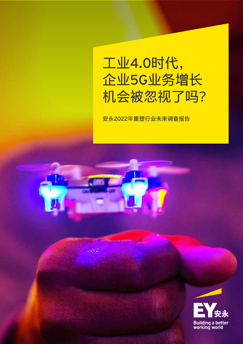 工业4.0时代：2022年重塑行业未来调查报告-安永-2022-31页工业4.0时代：2022年重塑行业未来调查报告-安永-2022-31页_1.png