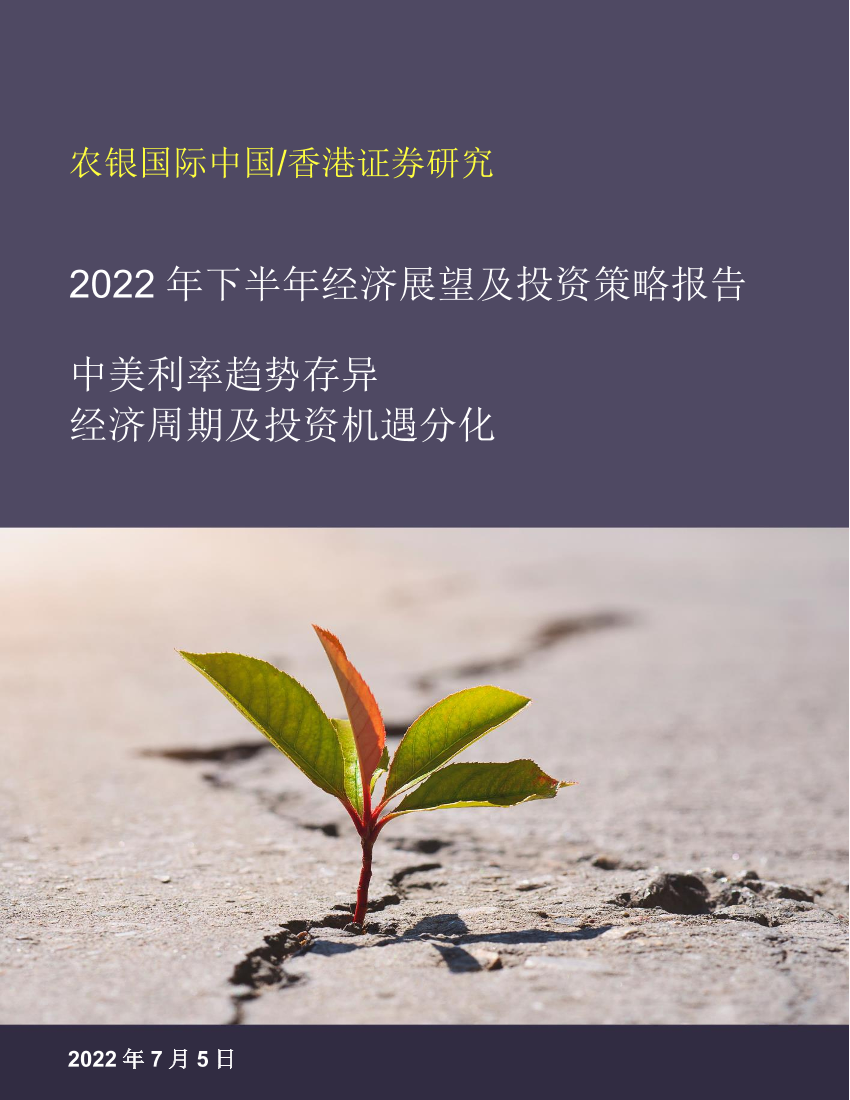 2022年下半年经济展望及投资策略报告：中美利率趋势存异，经济周期及投资机遇分化-20220705-农银国际-44页2022年下半年经济展望及投资策略报告：中美利率趋势存异，经济周期及投资机遇分化-20220705-农银国际-44页_1.png