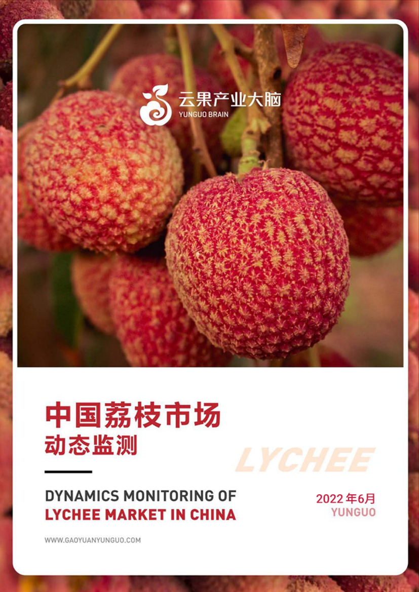 云果：中国荔枝市场动态监测(2022年6月)-22页云果：中国荔枝市场动态监测(2022年6月)-22页_1.png