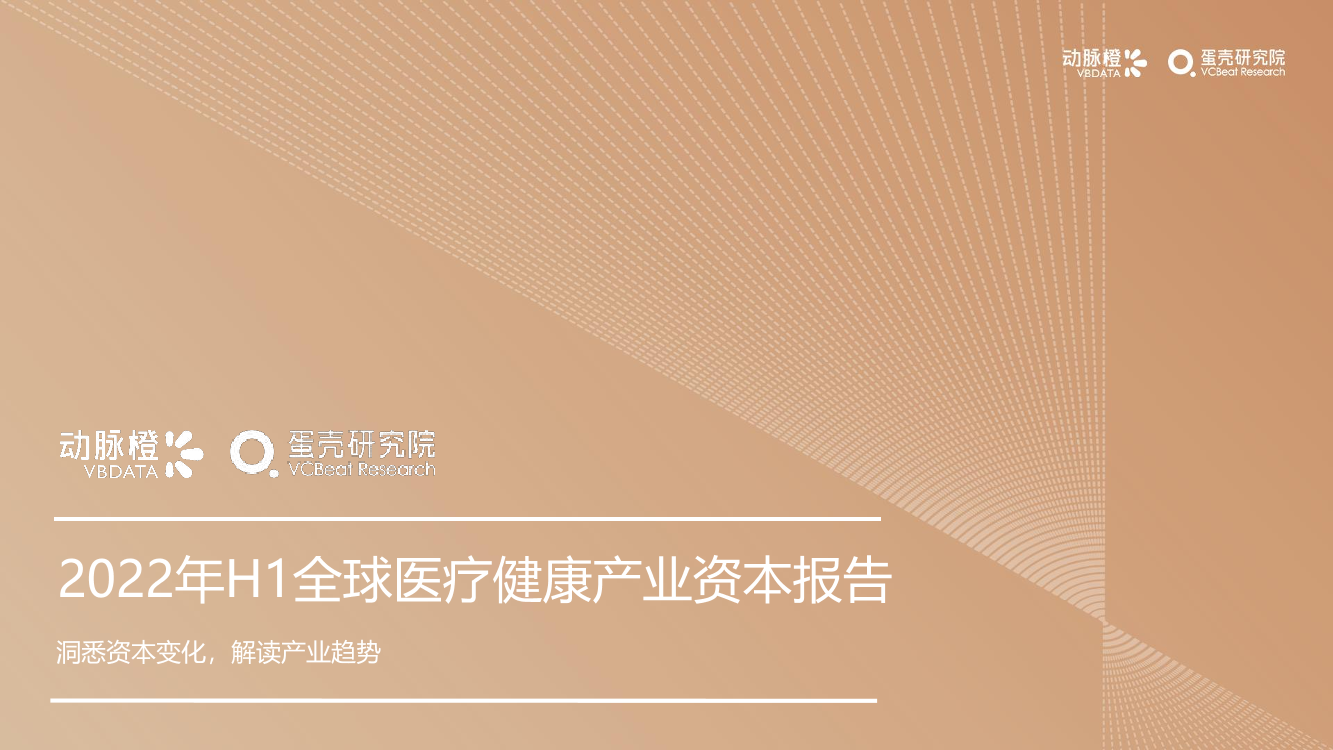 动脉橙-2022年H1全球医疗健康产业资本报告-30页动脉橙-2022年H1全球医疗健康产业资本报告-30页_1.png