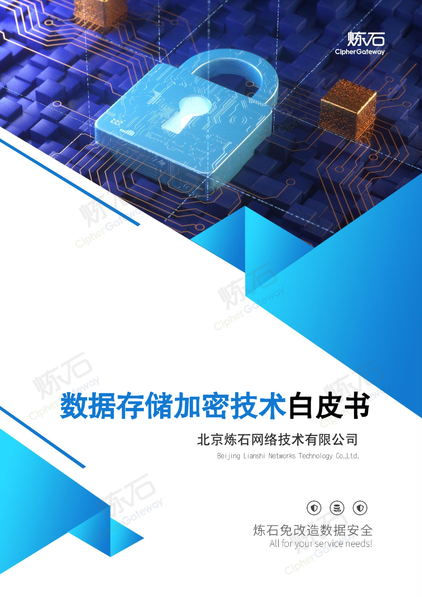 炼石-数据存储加密技术白皮书V1.1-27页炼石-数据存储加密技术白皮书V1.1-27页_1.png