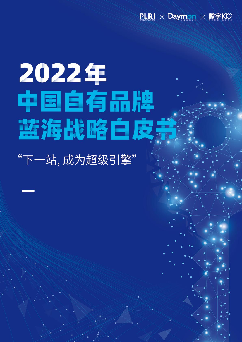 2022中国自有品牌蓝海战略白皮书-自有品牌产业研究院-2022-46页2022中国自有品牌蓝海战略白皮书-自有品牌产业研究院-2022-46页_1.png