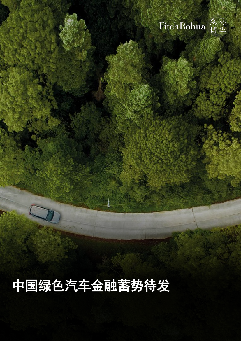 中国绿色汽车金融蓄势待发-12页中国绿色汽车金融蓄势待发-12页_1.png