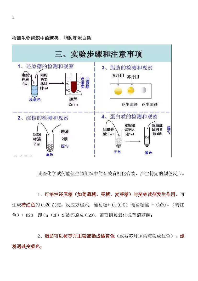 【初中生物】16个实验原理大解析，全是必考点，学霸早就人手一份【初中生物】16个实验原理大解析，全是必考点，学霸早就人手一份_1.png