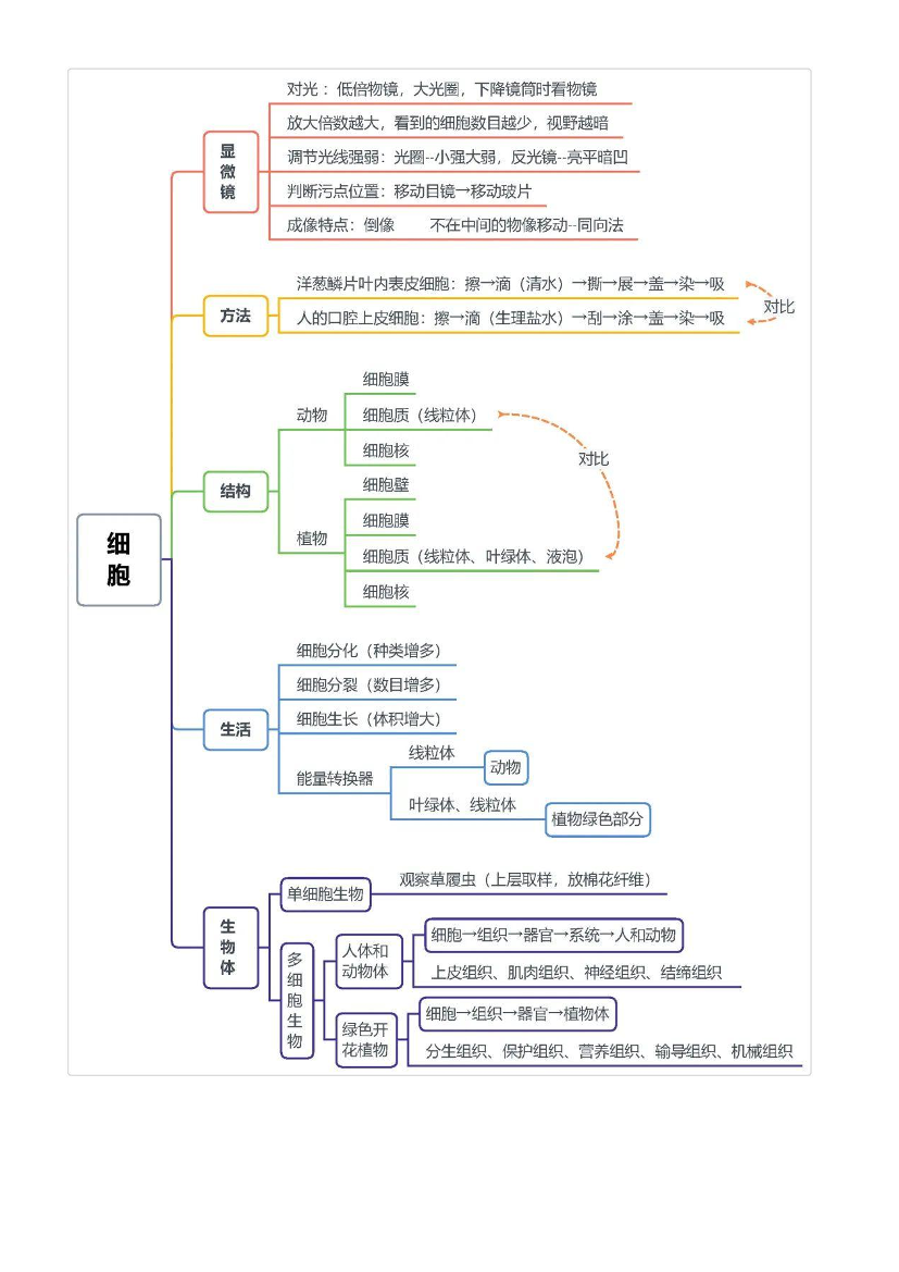 【初中生物】4册生物考点，汇成脉络图15张【初中生物】4册生物考点，汇成脉络图15张_1.png