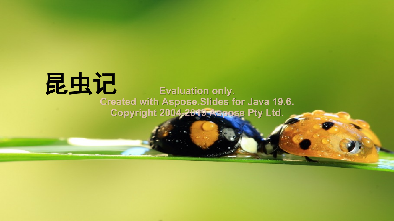 9j1t5q94ec8a6a749j1t5q94ec8a6a74_1.png