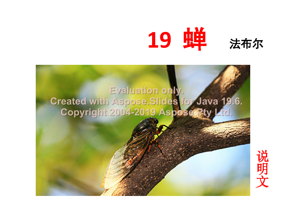 kx3ugk73s7c8azewkx3ugk73s7c8azew_1.png