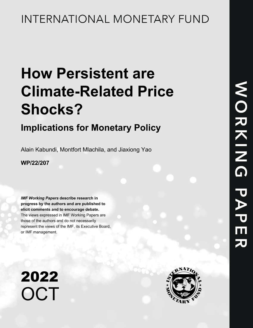 IMF-气候相关的价格冲击有多持久？对货币政策的影响（英）-2022.10-50页IMF-气候相关的价格冲击有多持久？对货币政策的影响（英）-2022.10-50页_1.png