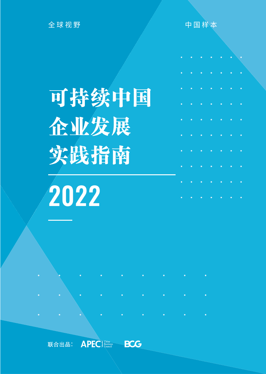 BCG&APEC-可持续中国企业发展实践指南-2022-87页BCG&APEC-可持续中国企业发展实践指南-2022-87页_1.png