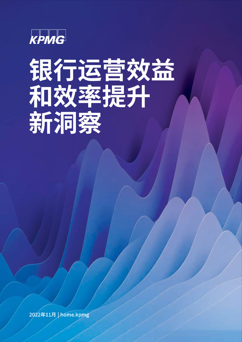 毕马威-银行运营效益和效率提升新洞察-15页毕马威-银行运营效益和效率提升新洞察-15页_1.png