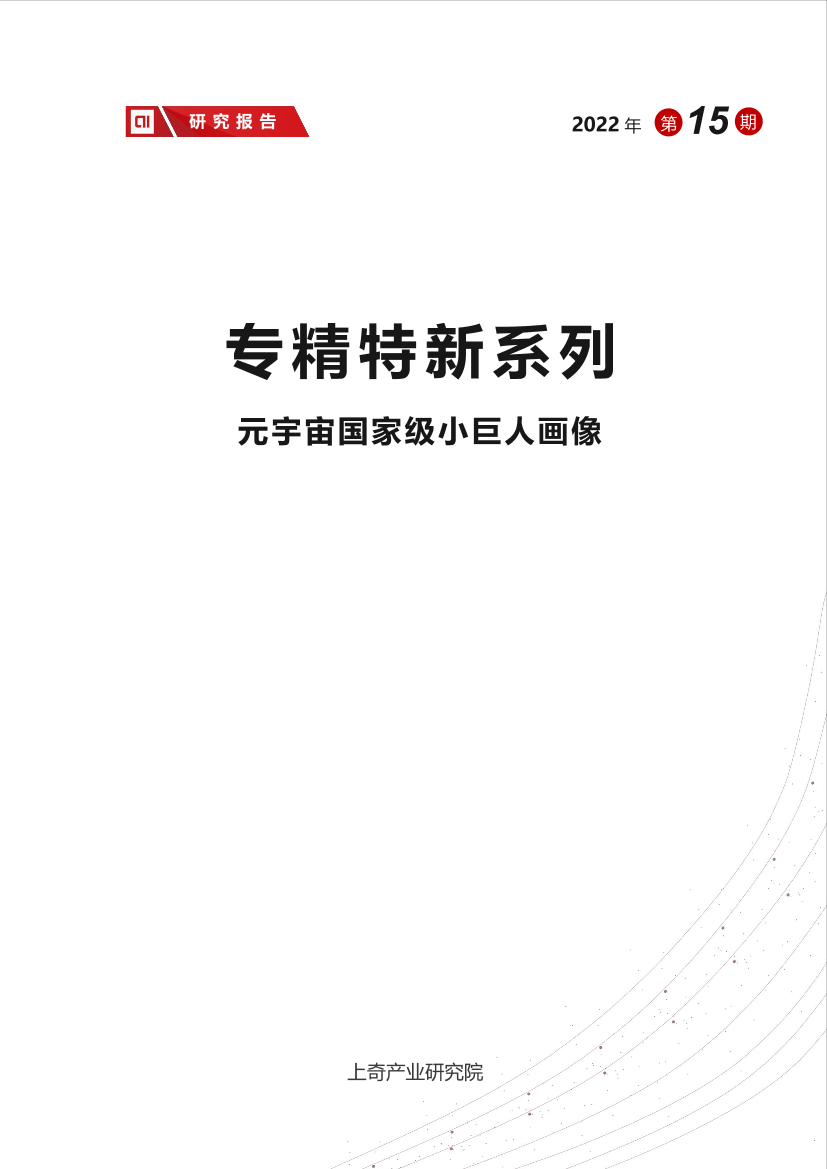 元宇宙国家级小巨人画像-21页元宇宙国家级小巨人画像-21页_1.png