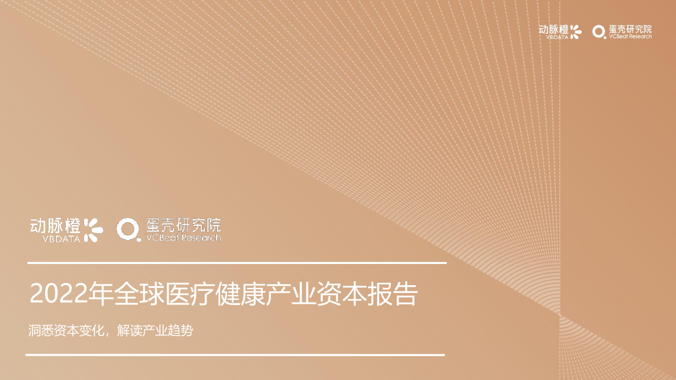 动脉橙-2022年全球医疗健康产业资本报告-40页动脉橙-2022年全球医疗健康产业资本报告-40页_1.png