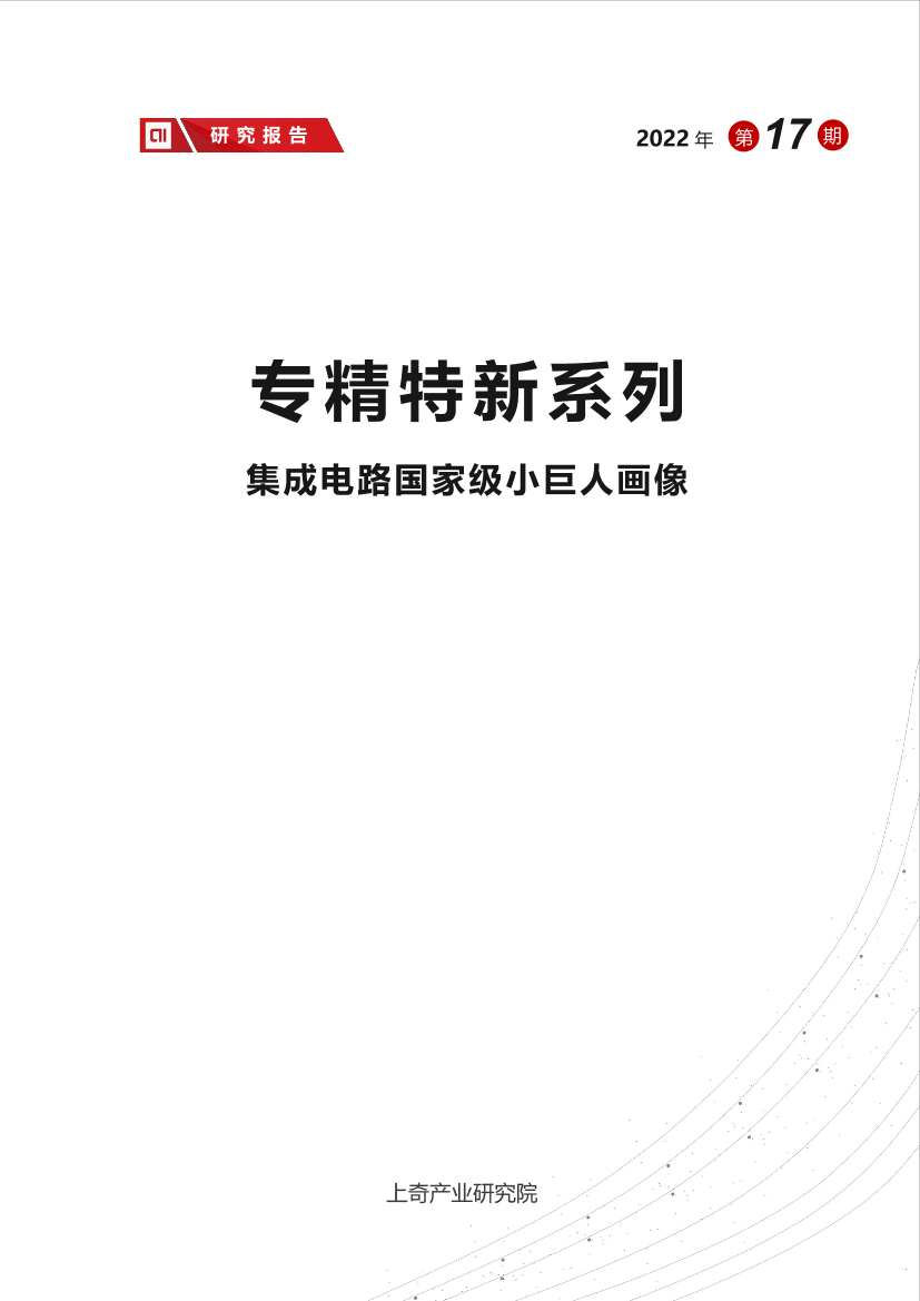 集成电路国家级小巨人画像-21页集成电路国家级小巨人画像-21页_1.png