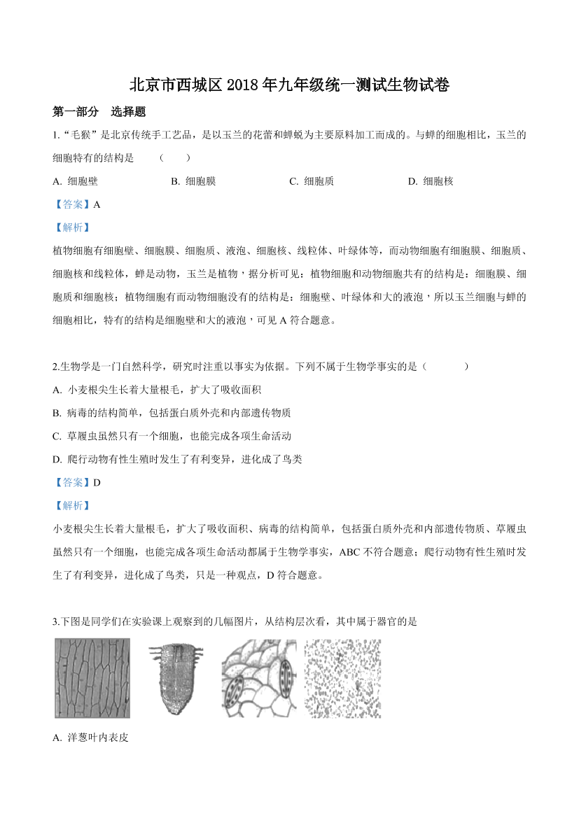 4ev2a2se4cxv250p4ev2a2se4cxv250p_1.png