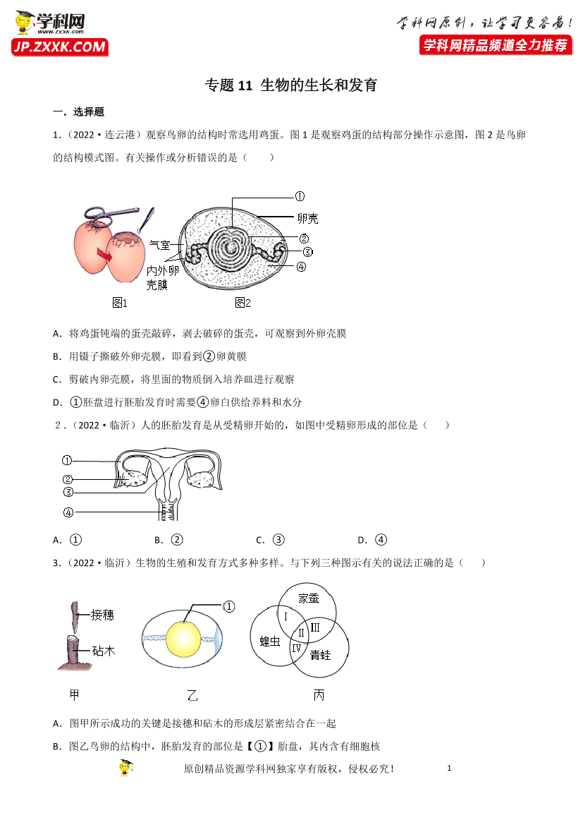 61zs3ldxlpq6j01q61zs3ldxlpq6j01q_1.png