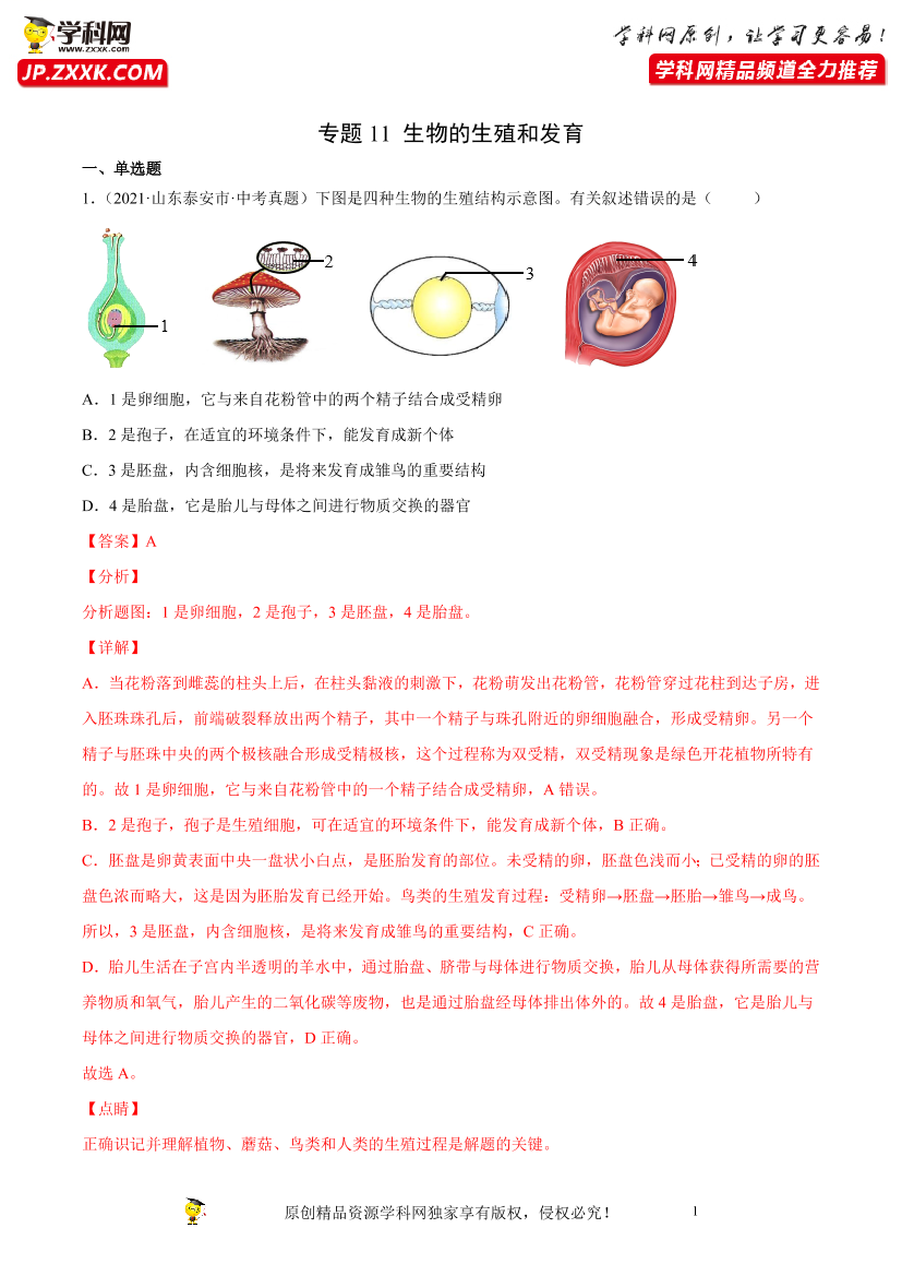 6nbcv0pkrt6ccqqz6nbcv0pkrt6ccqqz_1.png