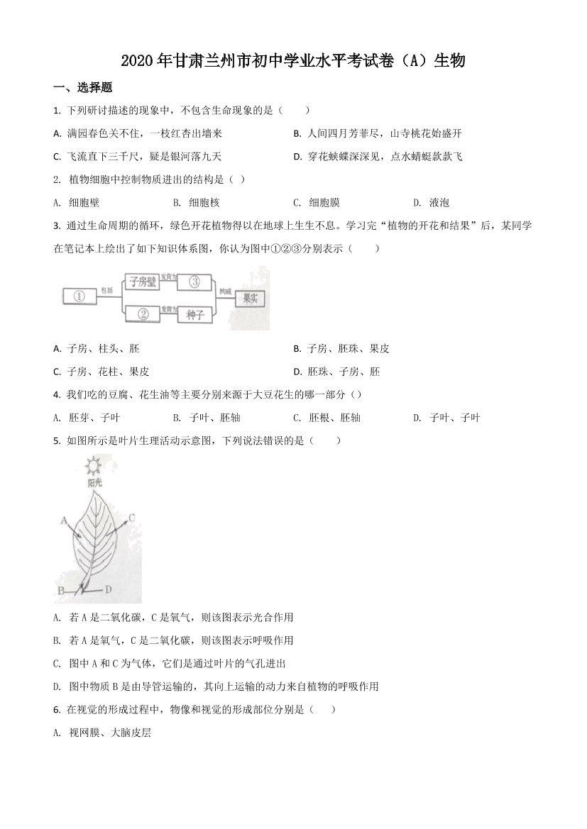e8hona944g402flue8hona944g402flu_1.png